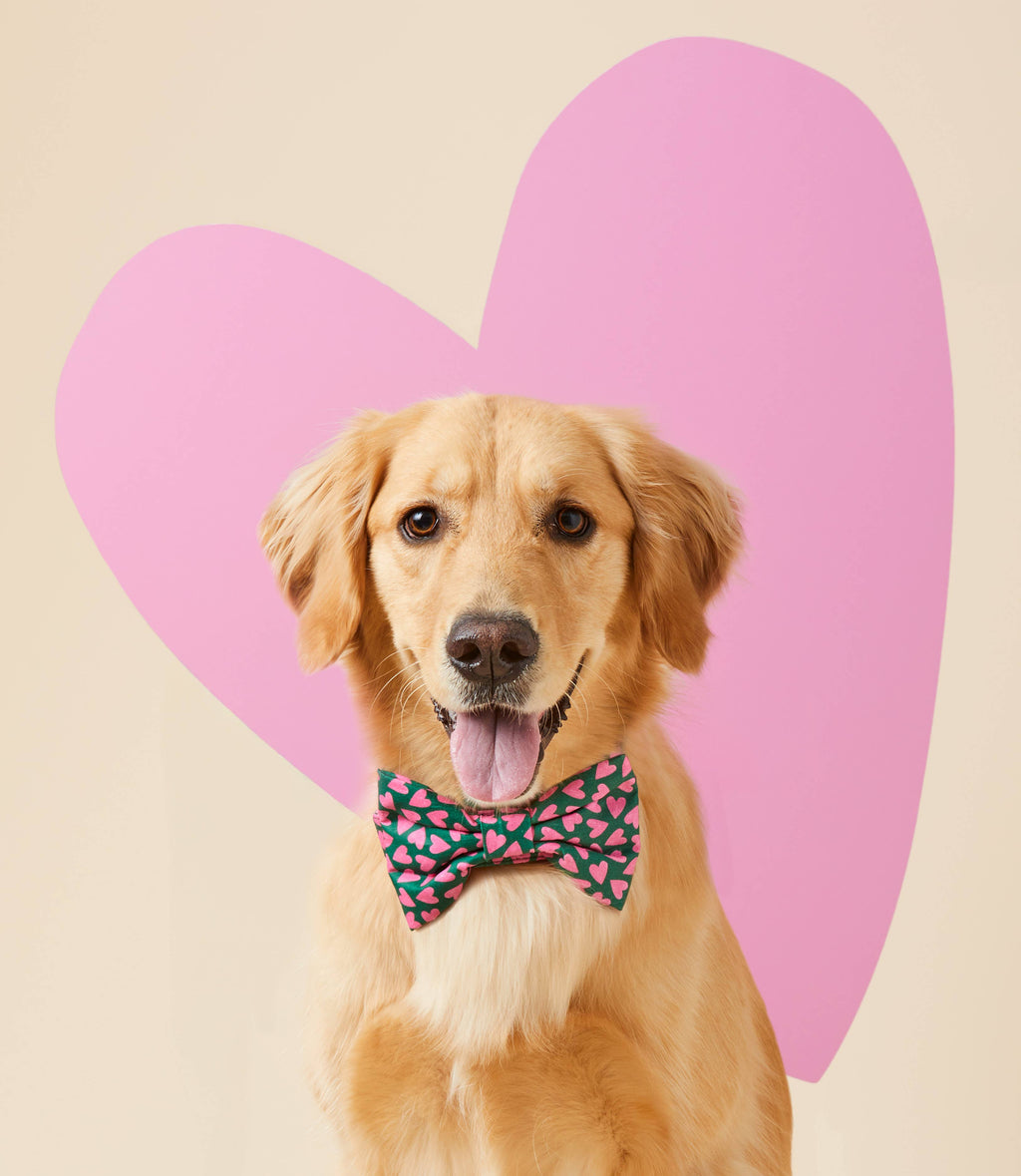 Lovestruck Dog Bow Tie