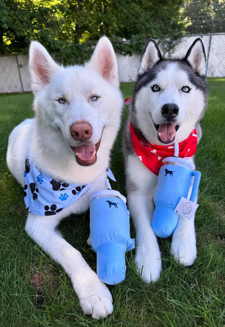 Pup Cup Tumbler Dog Toy